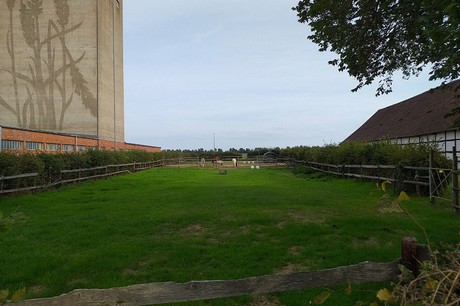Vettweiss