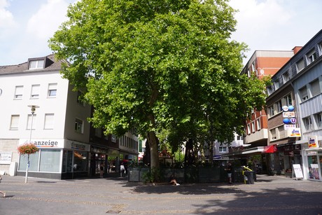 Viersen