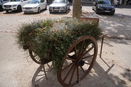 Viersen