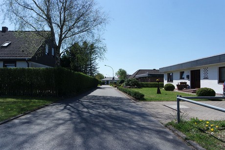 vioel
