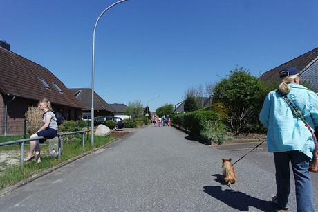 vioel