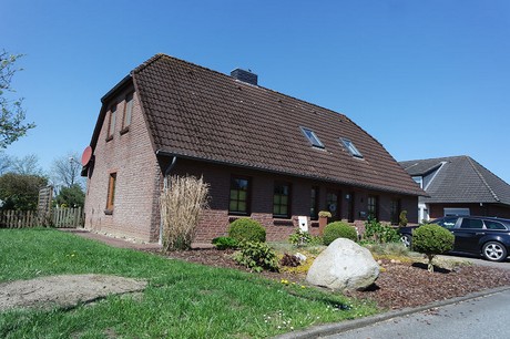vioel