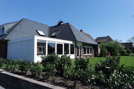 vioel