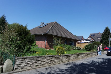 vioel