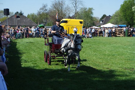 vioel
