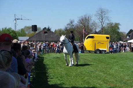 vioel