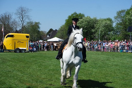 vioel
