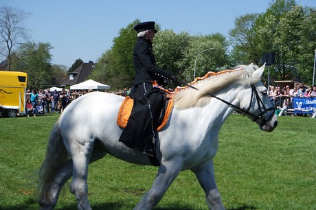 vioel