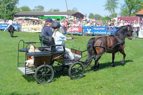 vioel