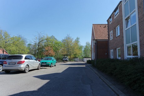 vioel