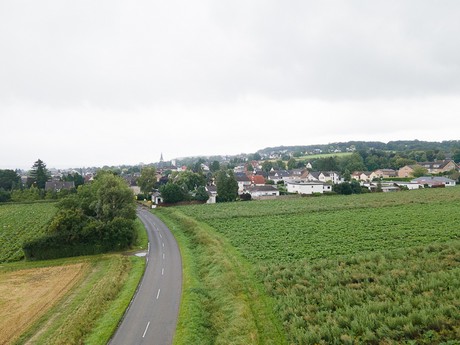 Walberberg