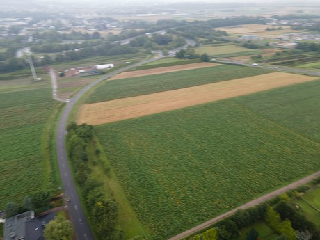 Walberberg