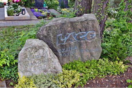Walberberg