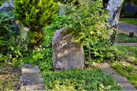 Walberberg