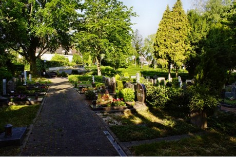 Walberberg
