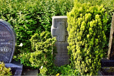 Walberberg