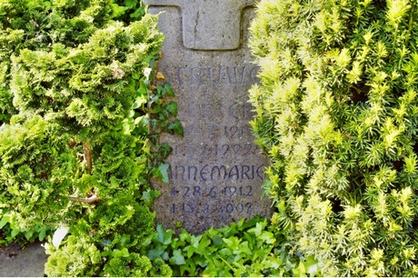 Walberberg