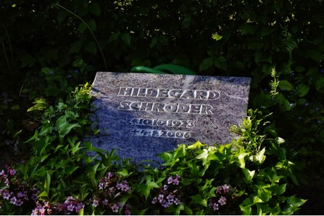 Walberberg