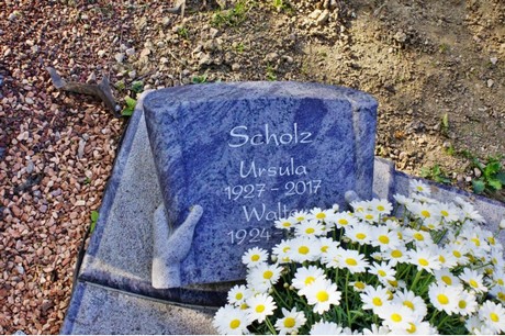 Walberberg