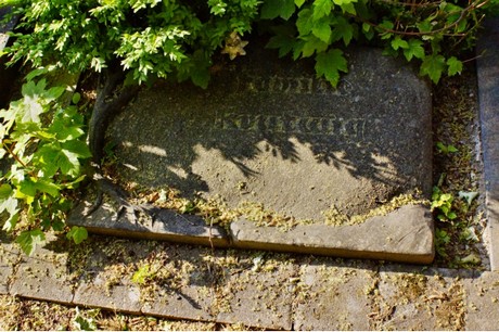Walberberg