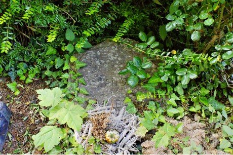Walberberg