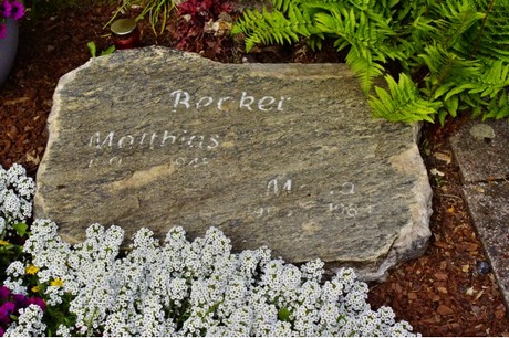 Walberberg