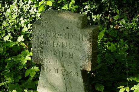 Waldorf