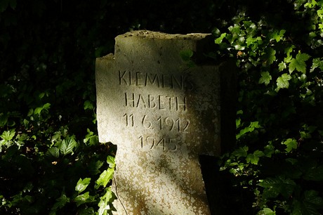 Waldorf