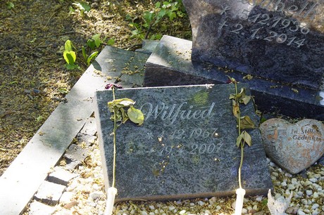 Waldorf