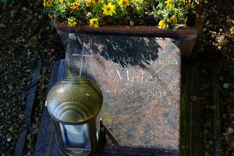 Waldorf