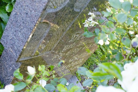 Waldorf