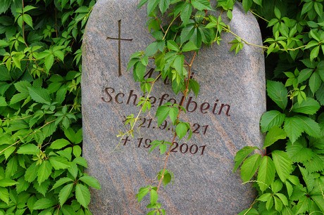 Weidesheim