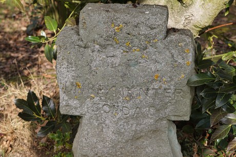 Welldorf