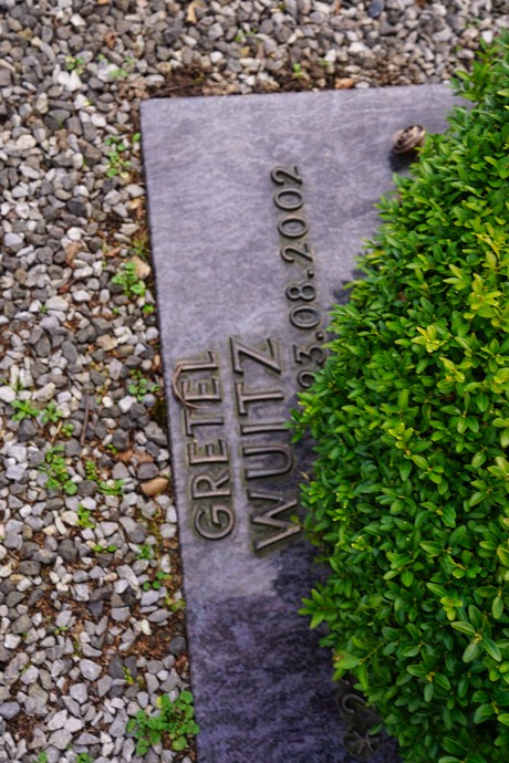 Welldorf