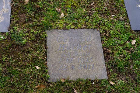 Welldorf
