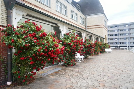 Westerland