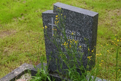 Friedhof
