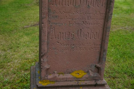 Friedhof