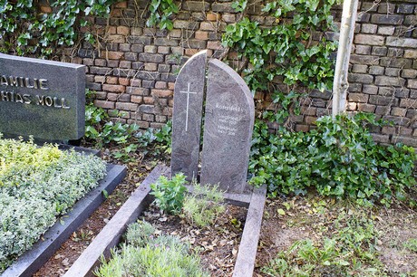 Widdig