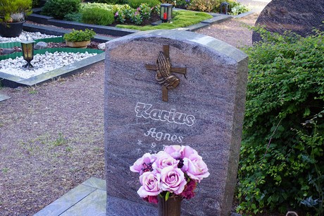 Widdig