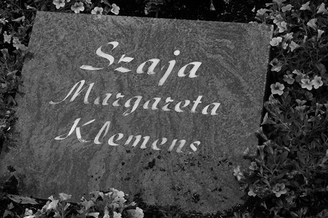 Widdig