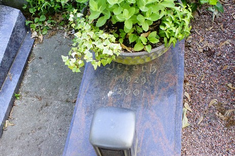 Widdig