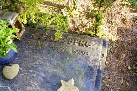 Widdig