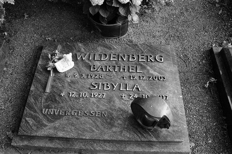 Widdig