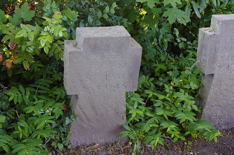Widdig