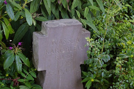 Widdig