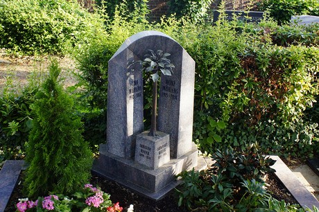 Widdig