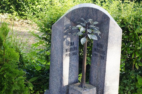 Widdig