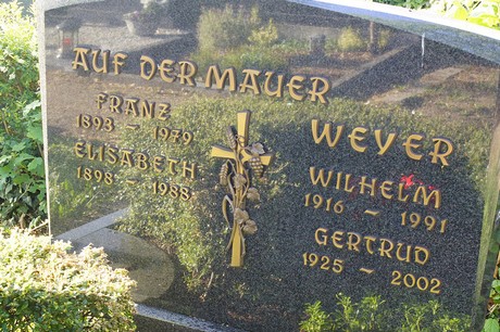 Widdig