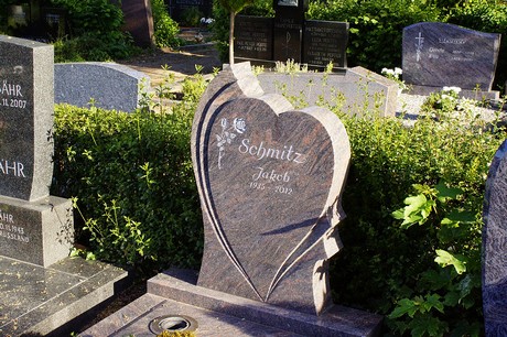 Widdig